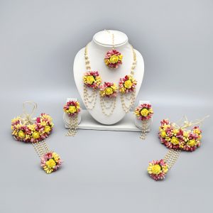 Myindiecraft Delight Multicolor Set